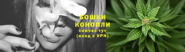 ГАЛЛЮЦИНОГЕННЫЕ ГРИБЫ Верхний Тагил