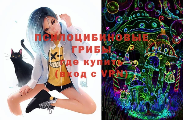 молекула духа Верея