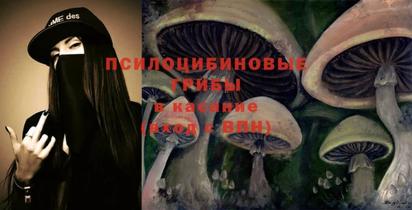 ГАЛЛЮЦИНОГЕННЫЕ ГРИБЫ Верхний Тагил